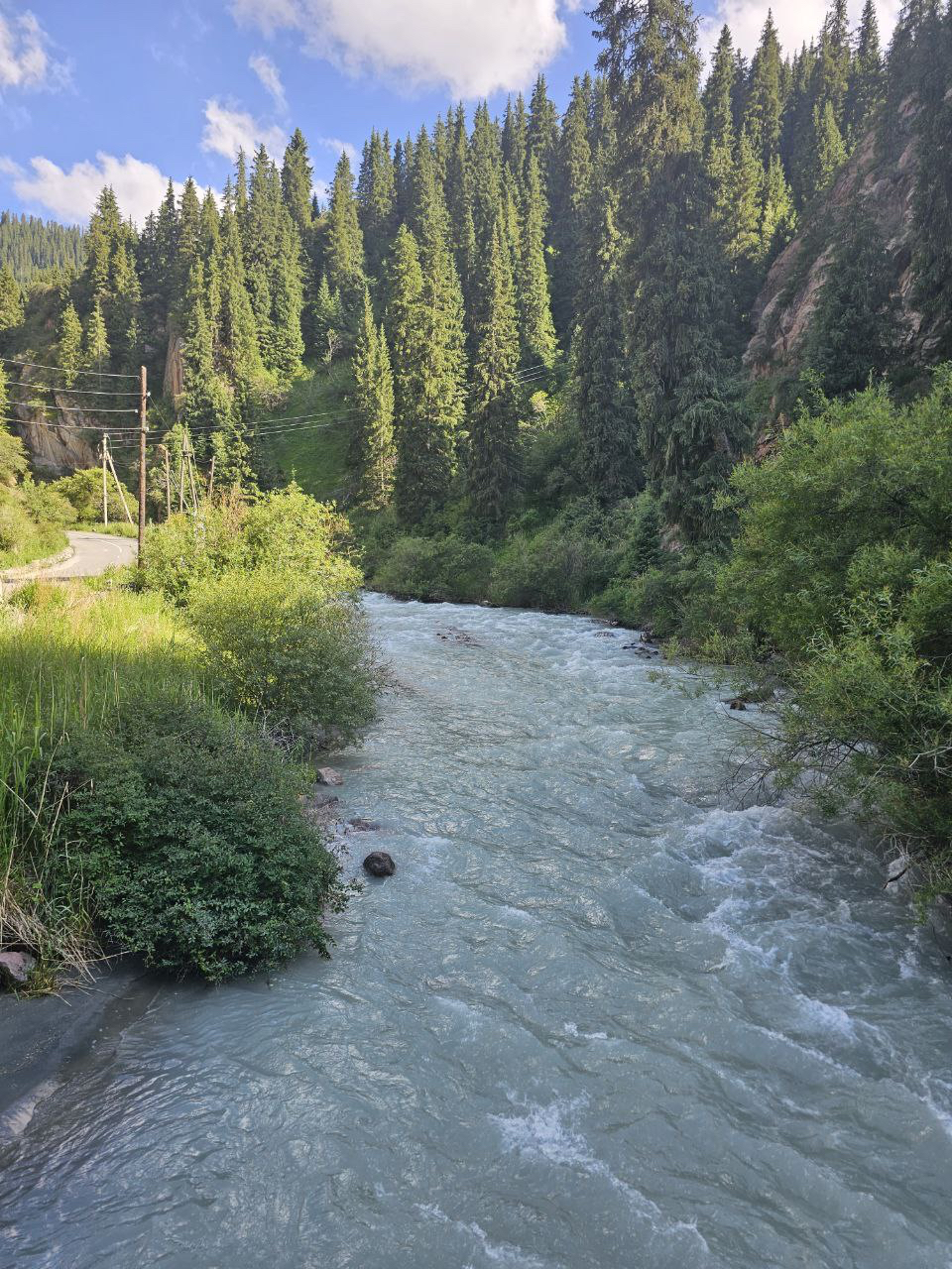 IMAGE-1