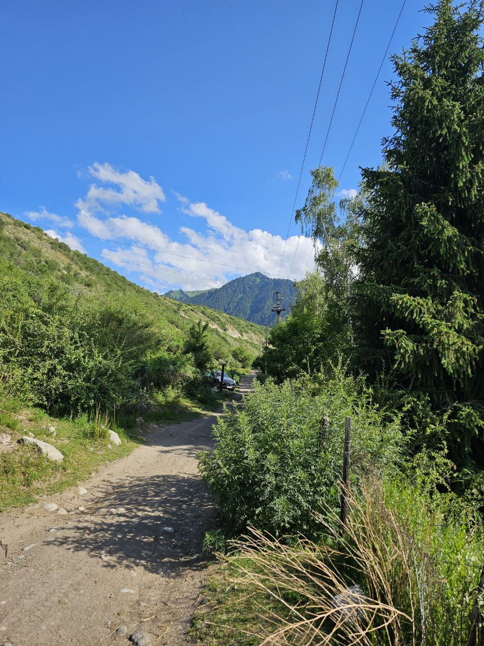 IMAGE-10