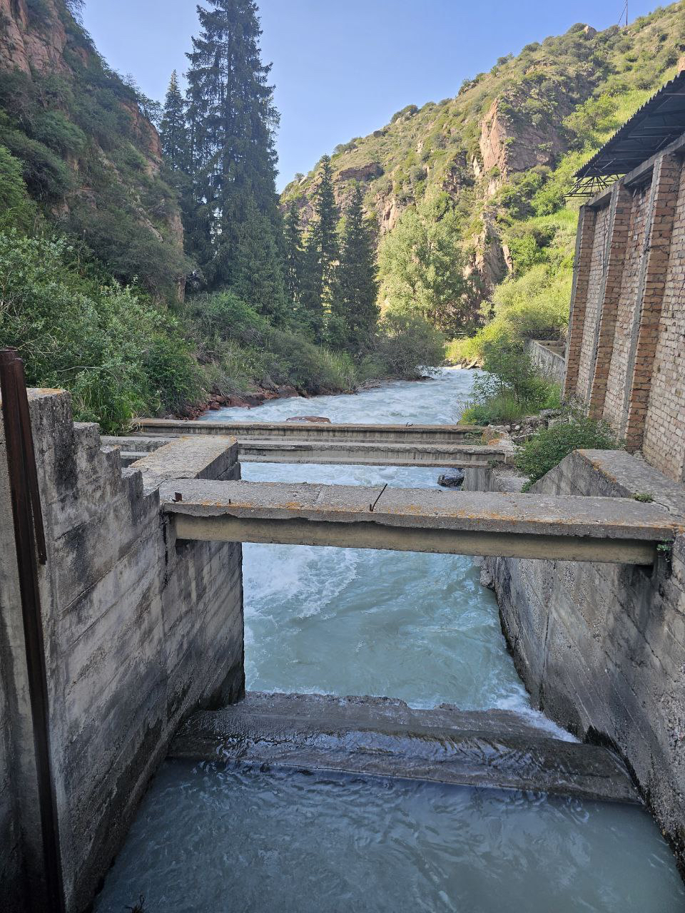 IMAGE-2