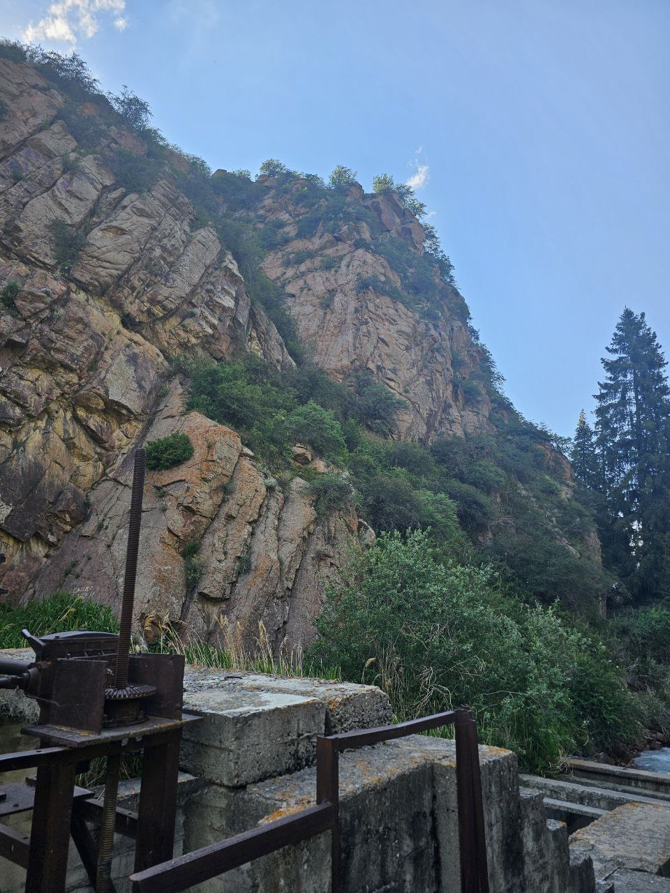 IMAGE-3