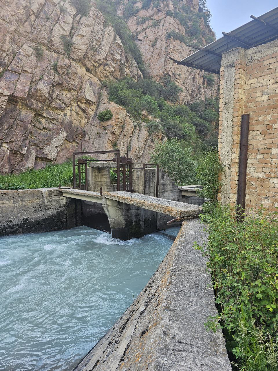 IMAGE-4