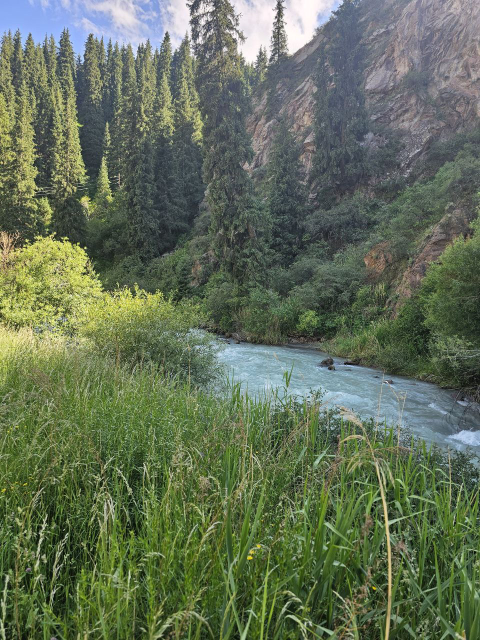 IMAGE-5