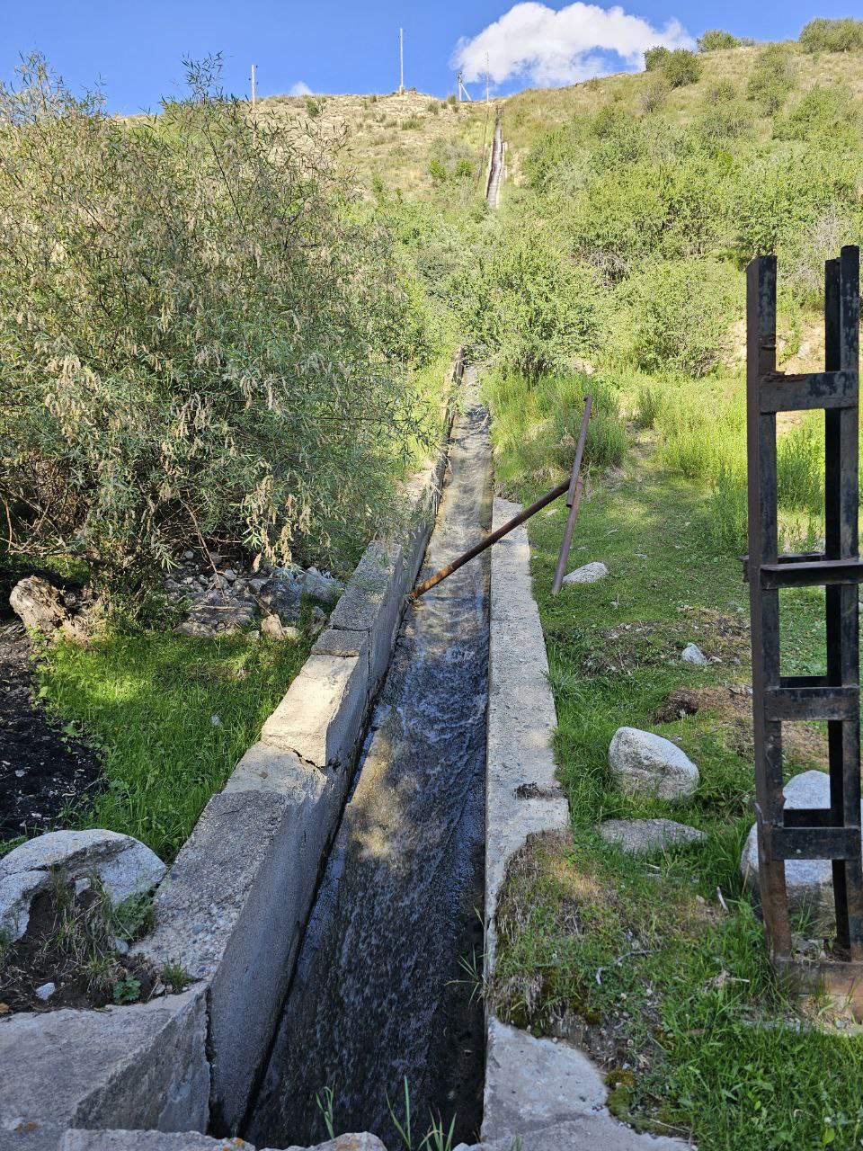 IMAGE-8