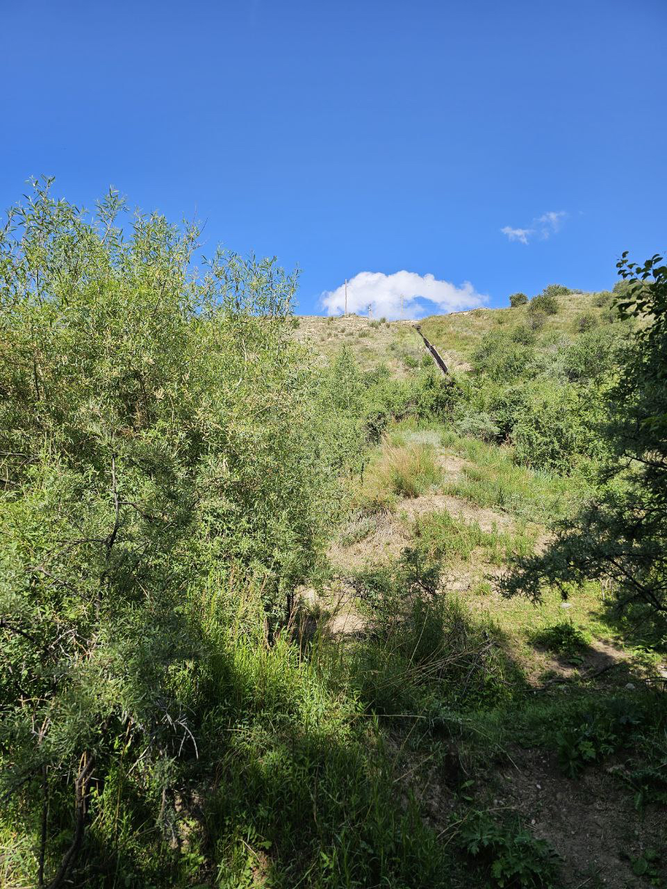 IMAGE-9